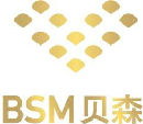 BSM Enterprise Ltd.