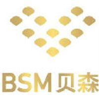 BSM Enterprise Ltd.