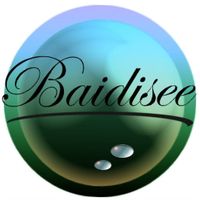 Baidisee Co Ltd