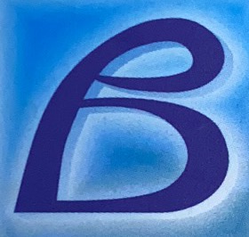 必达控股(香港)有限公司