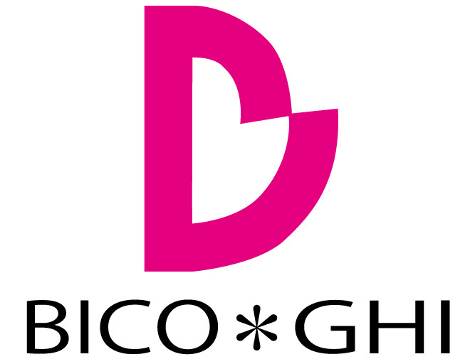 Bico Ghi Corporation