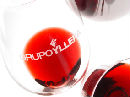 Bodegas Grupo Yllera SL