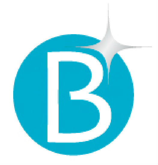 Bonanza Intertrade Co Ltd