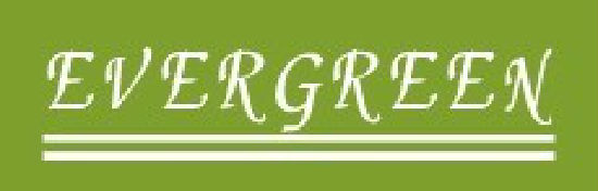 CHINA EVERGREEN ENERGY CO LTD
