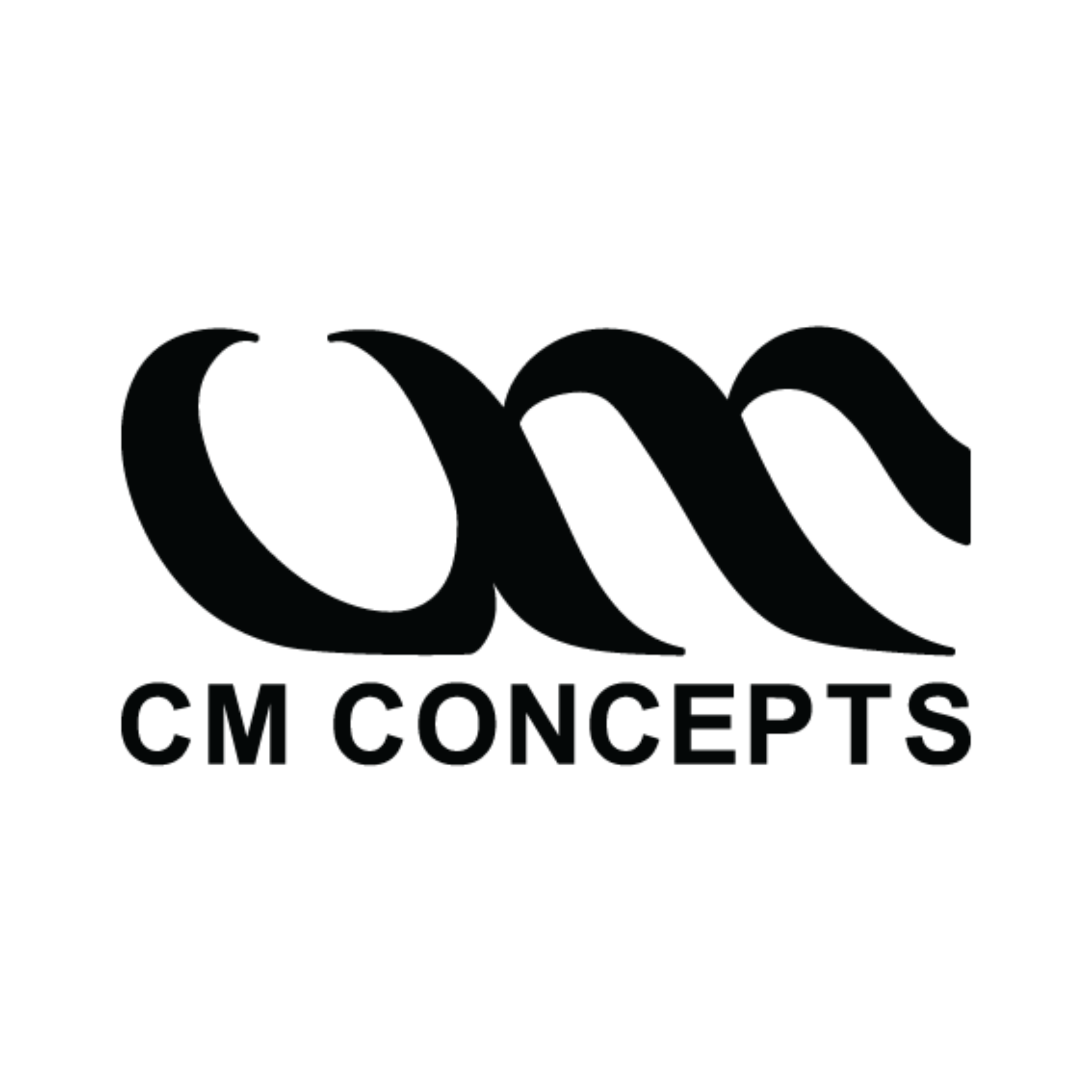 CM CONCEPTS LIMITED