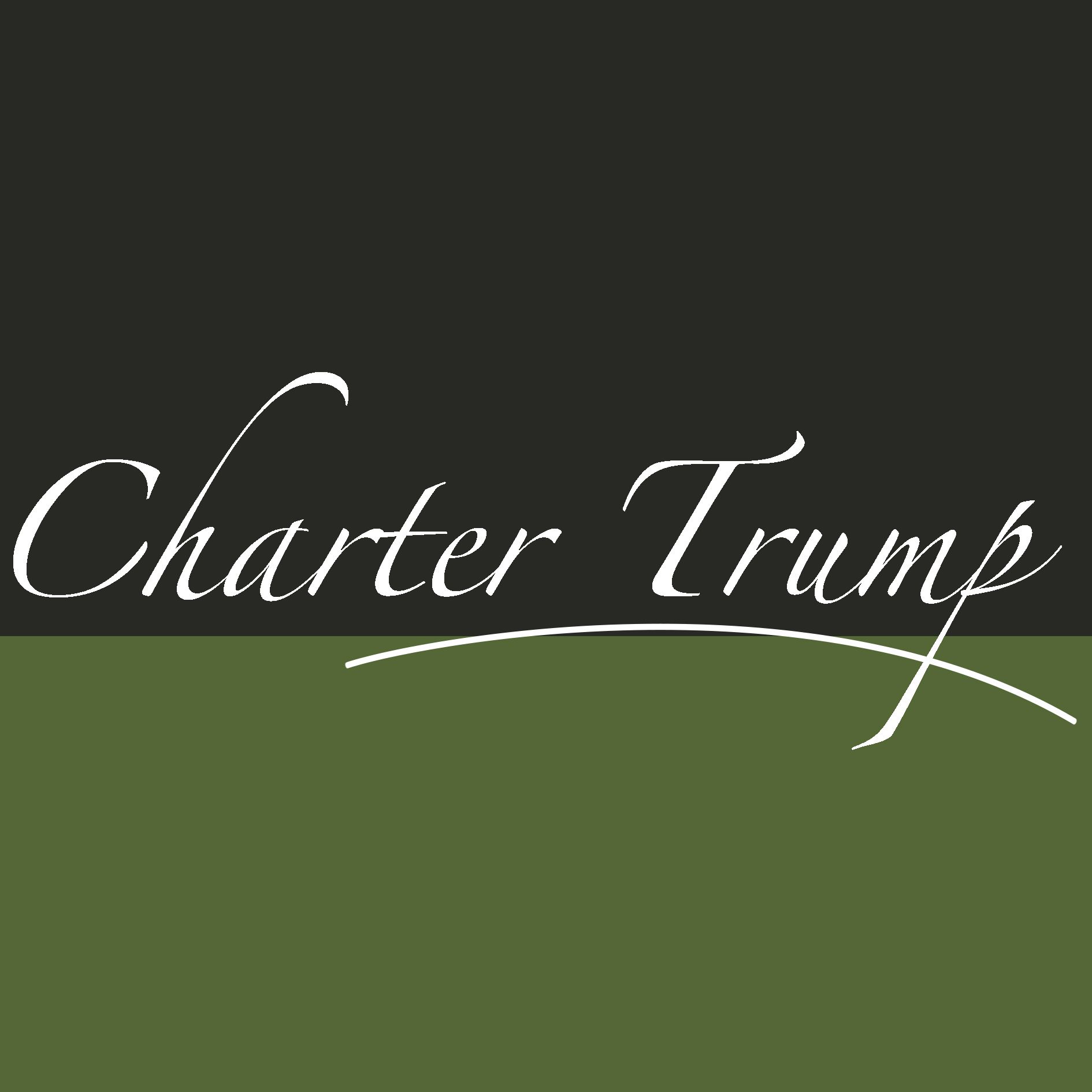 桌俊集团有限公司