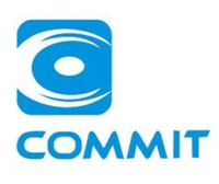 Commit Ltd