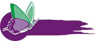 Creative Trend Studio Ltd