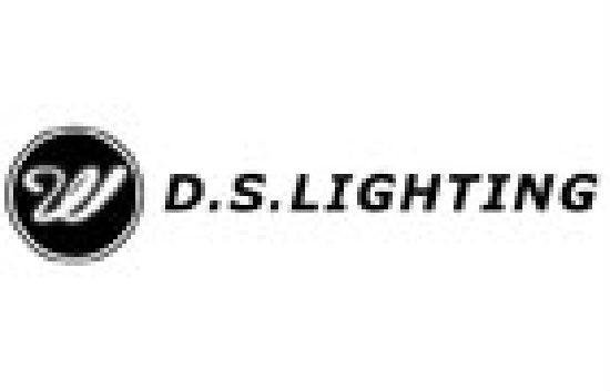 D. S. LIGHTING CO
