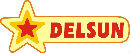 Delsun Co Ltd