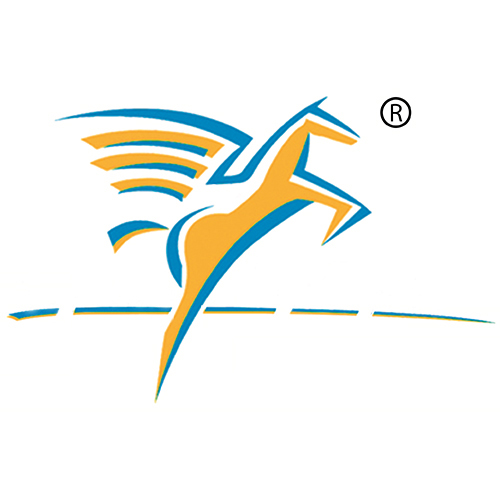 德清飛馬照明有限公司