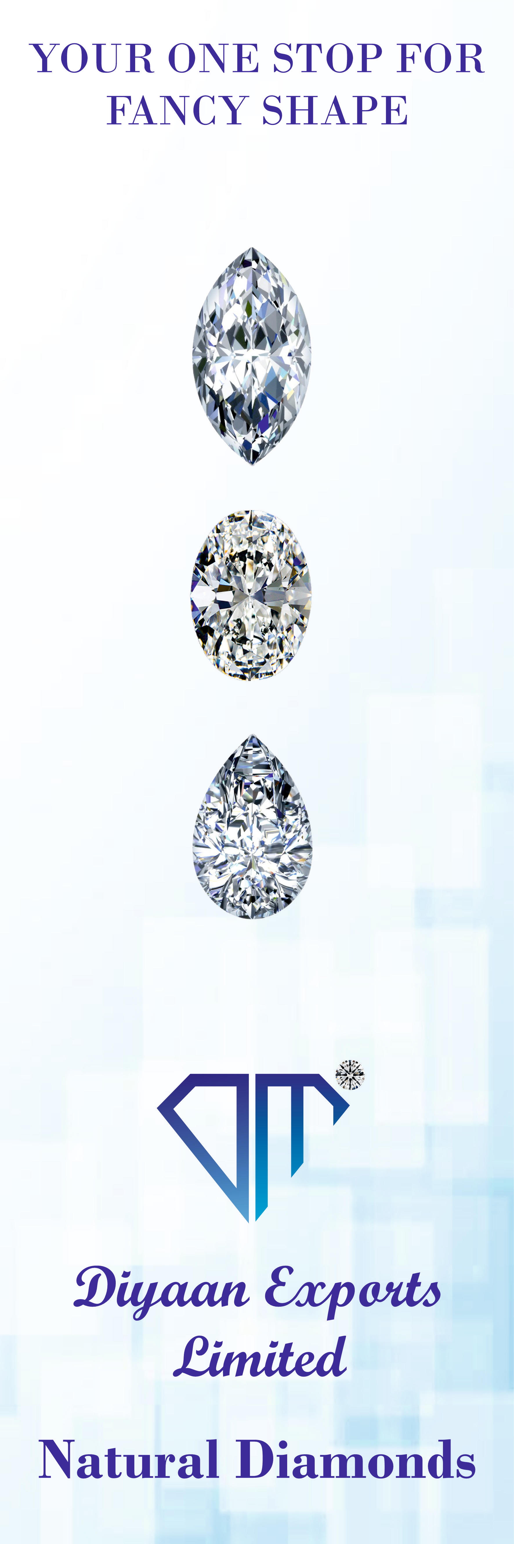 Diyaan Exports Limited