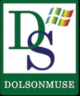 Dolsonmuse Electronic Co Ltd