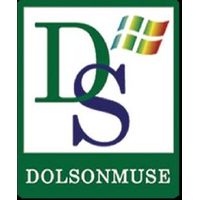 Dolsonmuse Electronic Co Ltd