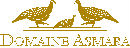 Domaine Asmara