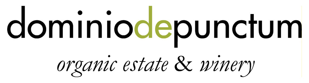 Dominio de Punctum, S.L.