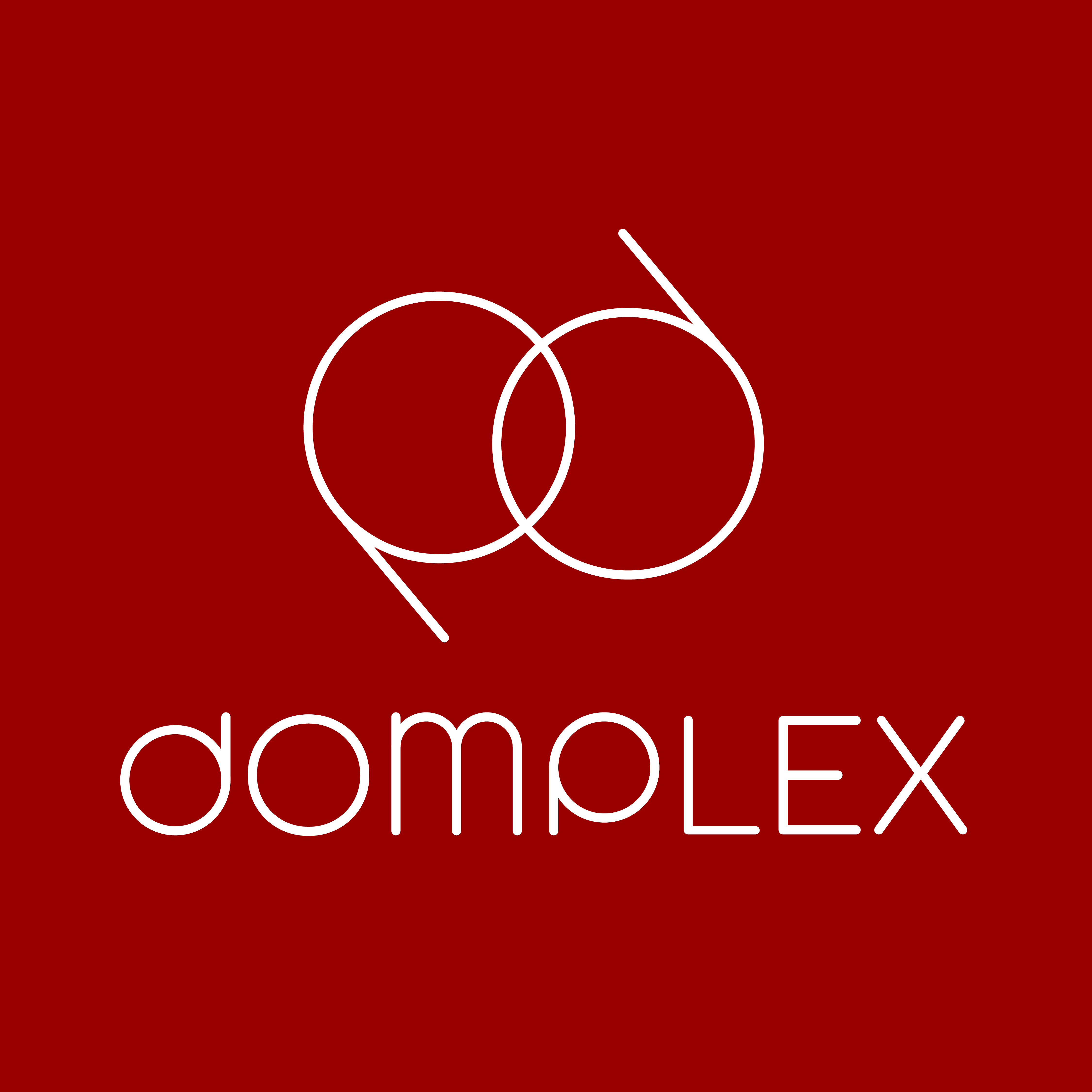 Domplex Hong Kong Limited
