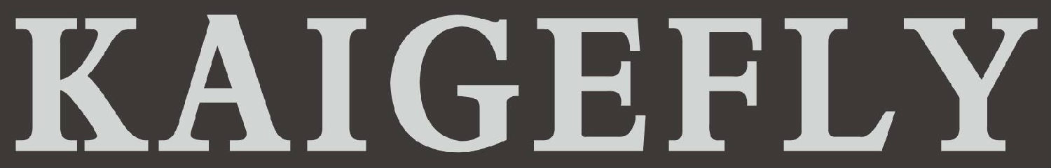 Dong Guan City Kaisheng Electronics Co Ltd