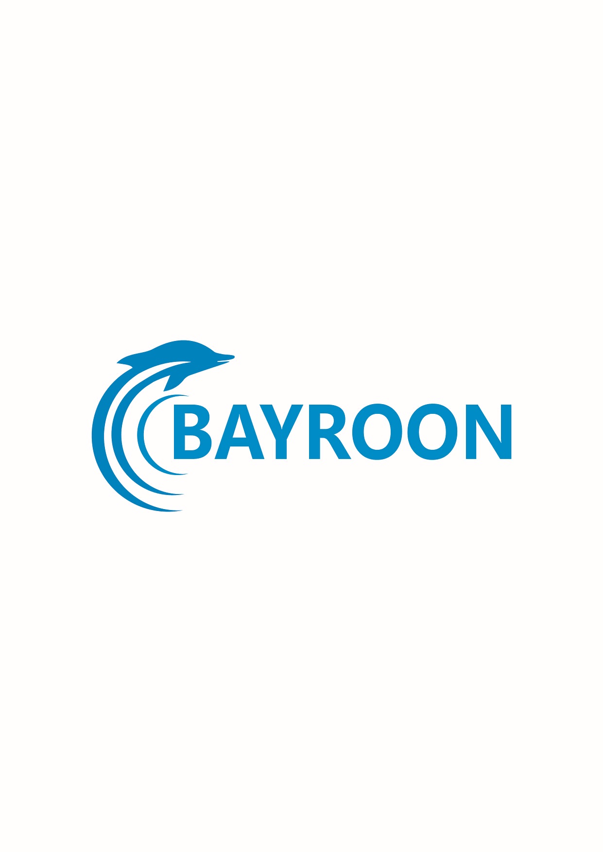 Dongguan Bayroon Technology Co., Ltd.