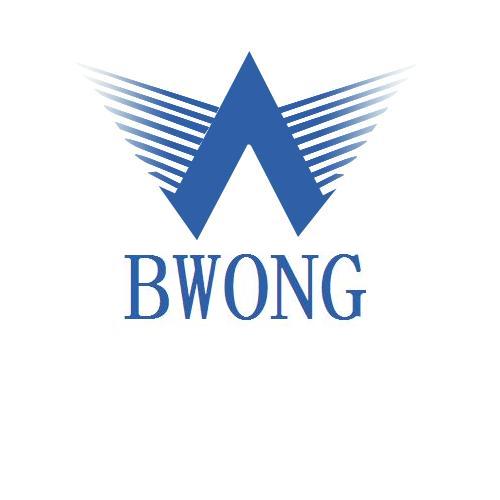 Dongguan Bowang Photoelectric Co., Ltd.