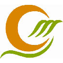 Dongguan Christmas Decoration Products Co., Ltd.