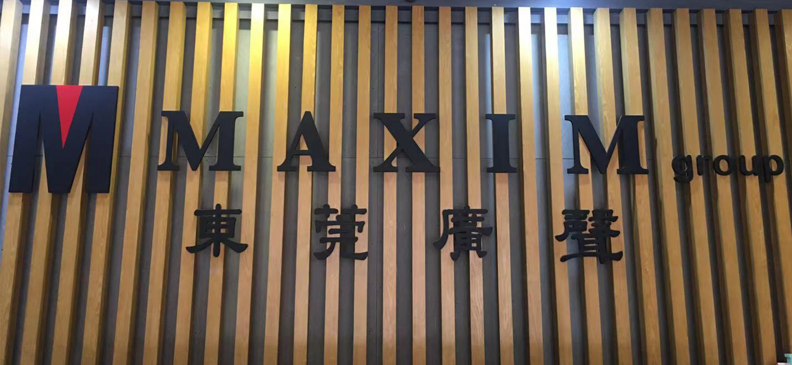 Dongguan Guangsheng M & P Mfg Co Ltd