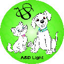 Dongguan Shenghong Webbing Tech Co., Ltd.