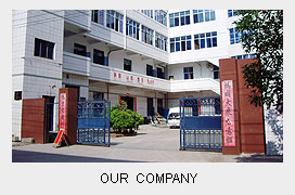 晉江市東興電子玩具有限公司