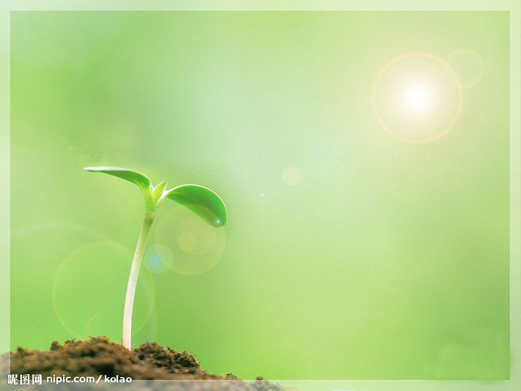 深圳市龍橋科技發展有限公司