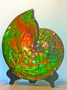 Enchanted Designs Limited