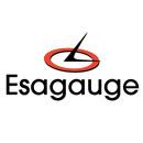 Esagauge Company Limited