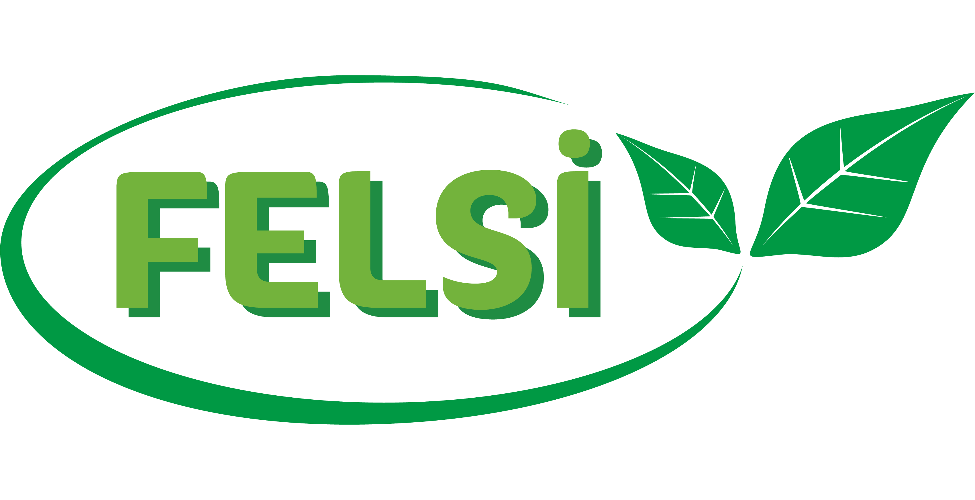 FELSi Company Limited