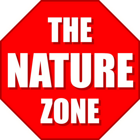 Fast Champ Industrial Limited