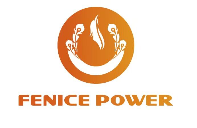 Fenice Power Co.,Ltd.