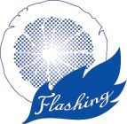 Flashing Group Limited