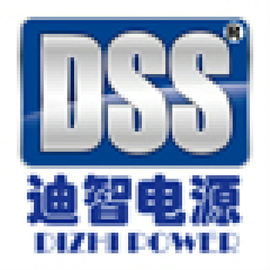 Foshan City Dizhi Power Supply Co., Ltd.