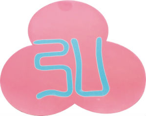 佛山市南海區西樵志泓紡織有限公司