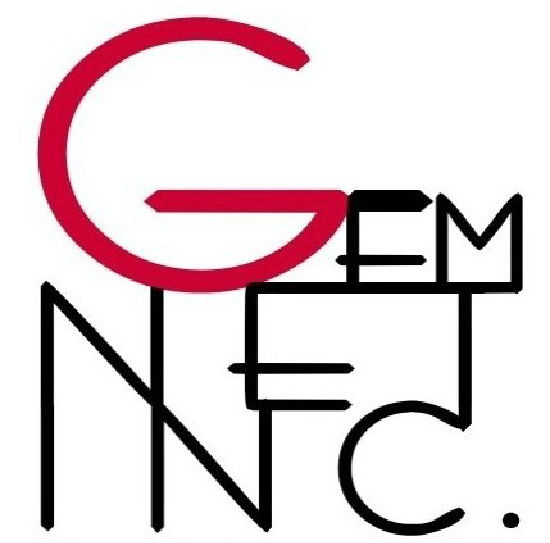 GEM NET INC.