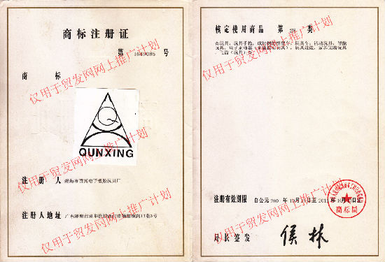 GUANGDONG QUNXING TOYS JOINT-STOCK CO LTD