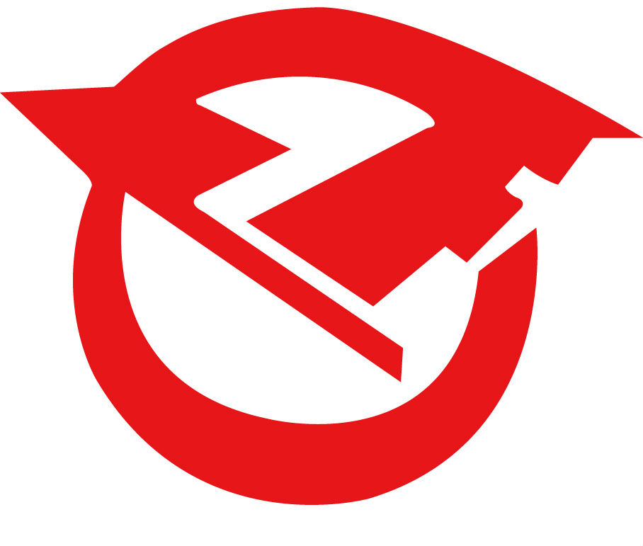 GUIZHOU LONGFEI GAS SPRING CO LTD