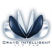 Grand Intelligent Limited