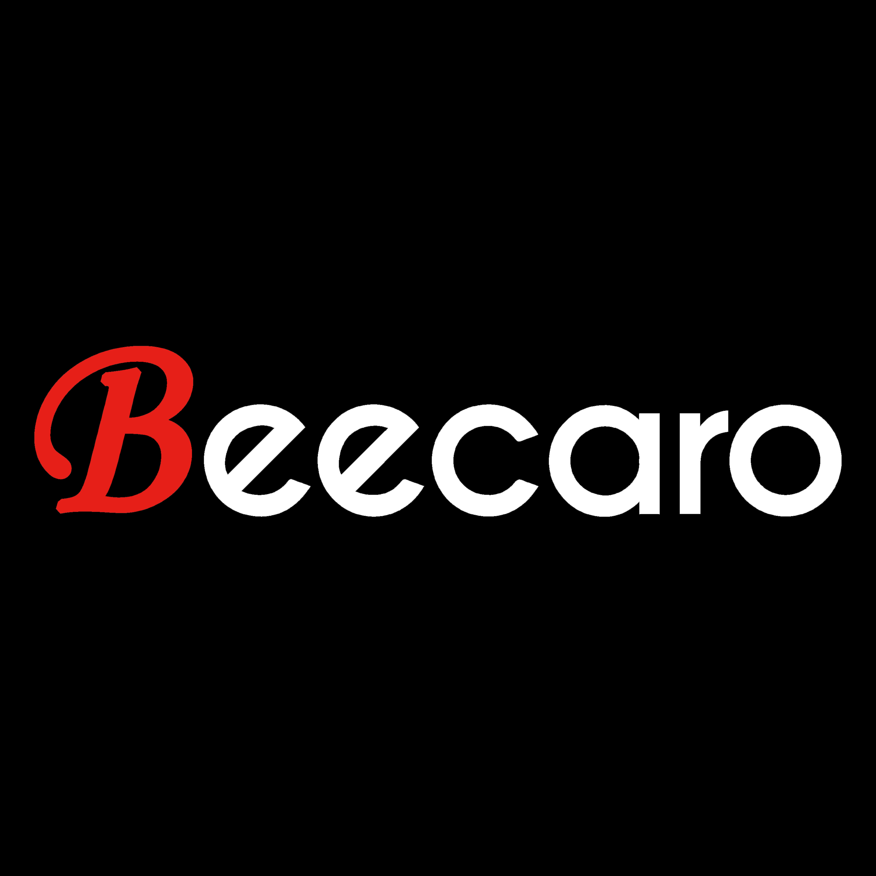 GuangZhou Beecaro Technology CO., Limited