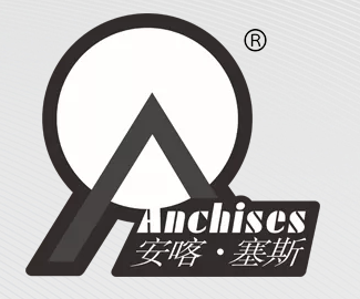 Guangdong Anchises Technology Corporation