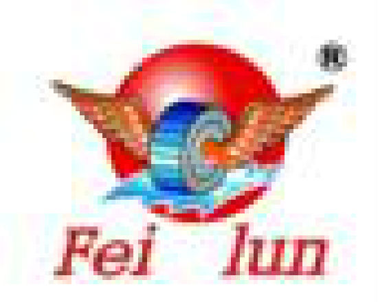 廣東飛輪科技股份有限公司