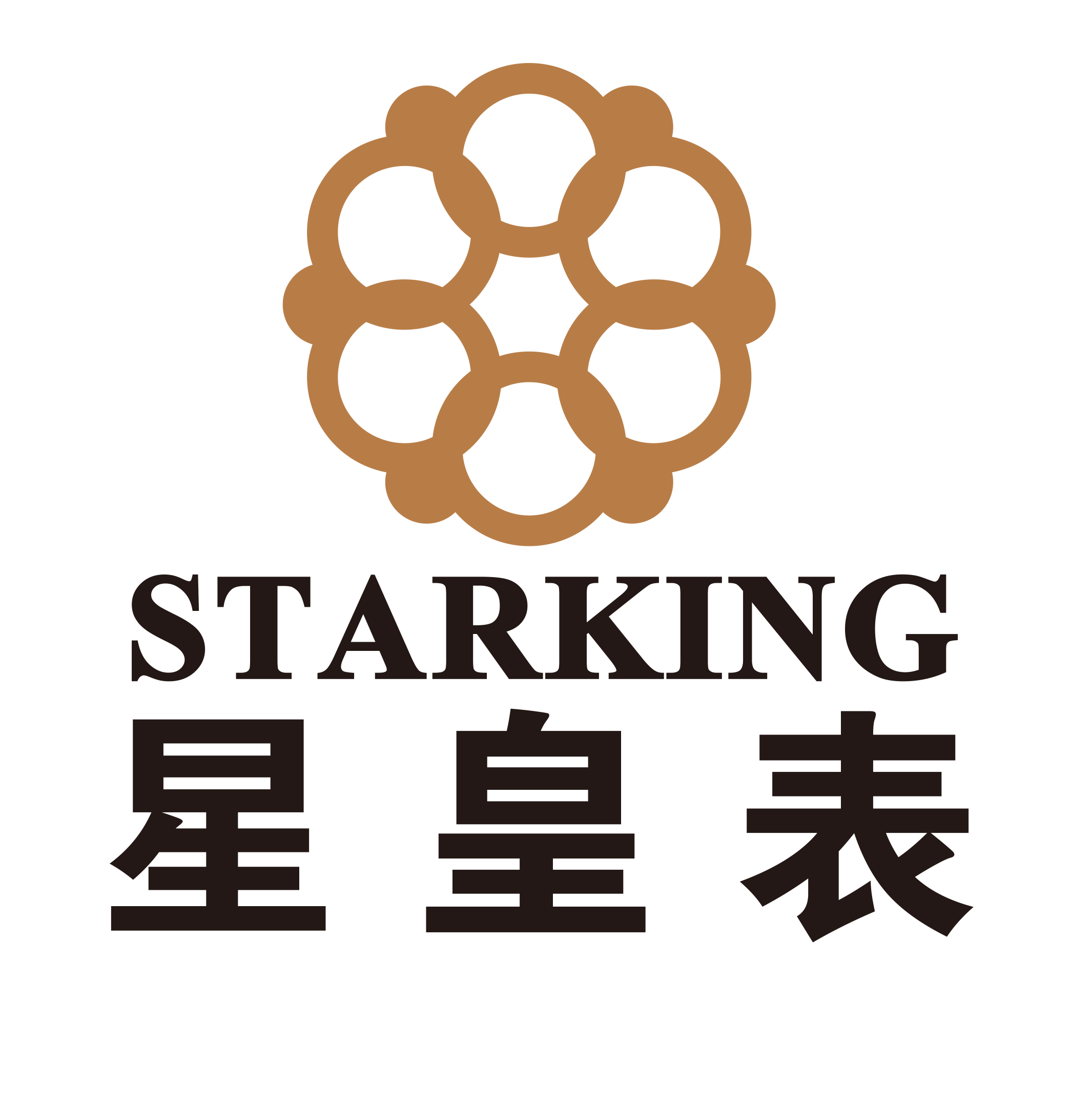 Guangdong Starking Intelligent Technology Co., Ltd