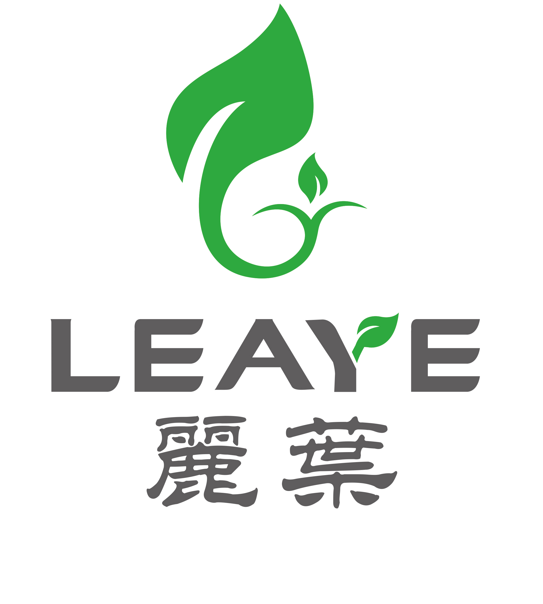 Guangzhou Leaye Jewelry Limited