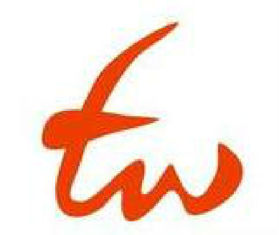 GuangzhouTW Toys Co. Ltd.