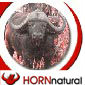 HORN NATURAL