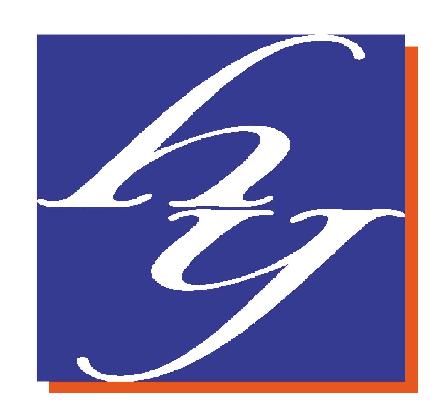 HY ELECTRONIC (CAYMAN) LIMITED