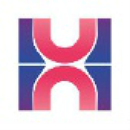 汉兴国际(香港)控股集团有限公司